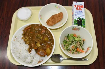 給食無償化の全国一律実施文部科学省「公平性・格差是正に課題」必要な予算額は