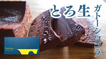 のとろ生ガトーショコラ】口コミ最強ガトーショコラを実食!食べ方や解凍方法も解説!【賞味期限】