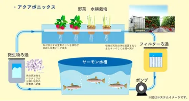 エア・ウォーターサーモン陸上養殖事業参入システムをパッケージで提供へ