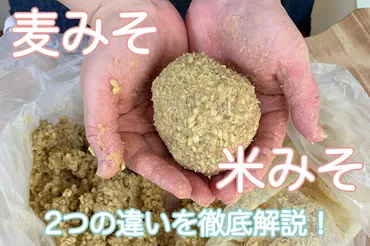 麦みそ」はどうやって使うの？米みそとの3つの違い