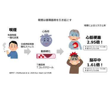 生活習慣に気を配ろう 