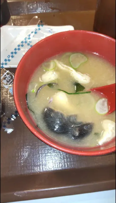 画像注意】゛すき家ネズミ味噌汁゛本当にあった衝撃のネズミ混入事件の真実とは