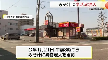 大手飲食チェーン「すき家」鳥取南吉方店で「みそ汁」の中にネズミ混入(鳥取市)(さんいん中央テレビ)