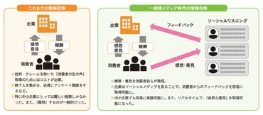 消費者の本音を聞き商品開発や販売戦略に活かす