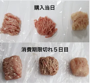 ひき肉の消費期限はどれくらい期限切れや傷みの目安とは