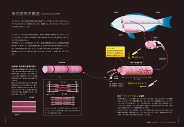 すしのサイエンス 