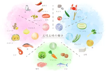 今すぐ使える『薬膳』選びの五性五味とは？