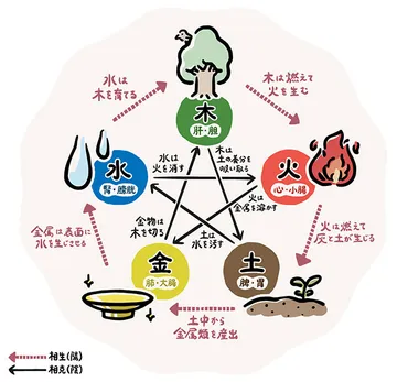 漢方の基礎知識２「五行とは」