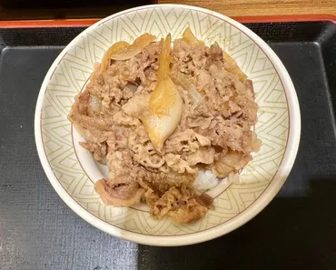 「もう行かない」牛丼チェーンの「深夜料金」導入売り上げに影響は?飲食店コンサルタントに聞く(オトナンサー)