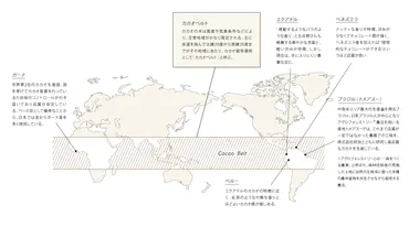 産地いろいろ、味わいいろいろ。世界を魅了するカカオ生産地