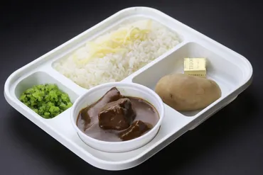 芸能人御用達゛ロケ弁!ホロホロ肉がごろごろ、欧風カレーのテイクアウト専門店が東京駅ナカに(東京・丸の内)
