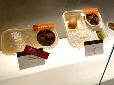 東京駅】「オーベルジーヌのカレー弁当」食べたら芸能人御用達のワケが解明できた!