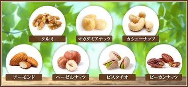 ナッツの種類や特徴とは?代表的なナッツ種類を分かりやすく解説