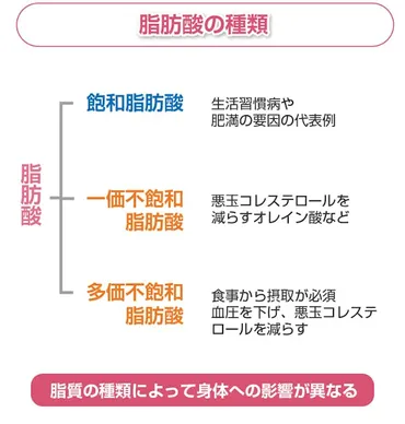 ナッツの種類と栄養素、その効果を徹底解説!食べると太るって本当?