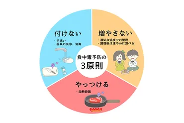 増やさない」「くっつけない」「やっつける」食中毒予防の3原則 