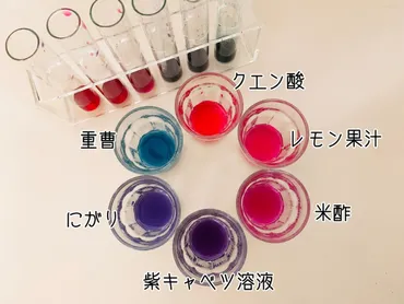 紫キャベツの色素アントシアニンで野菜の色実験をしよう!