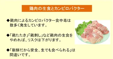 鶏の生食について】~近年カンピロバクター食中毒が増えています~