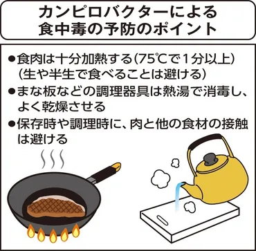多発するカンピロバクター食中毒鶏肉の生食、加熱不足に注意