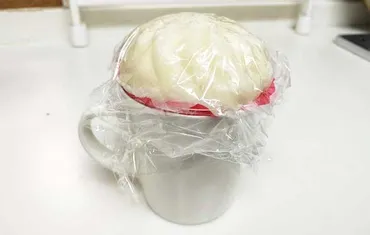 551蓬莱』に聞いた!あの『豚まん』をおいしく温め直すコツに「その手があったか」–グレイプ