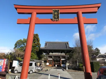 梅宮大社神苑の椿と梅、そして猫