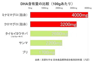 マグロの栄養】毎日食べるならお刺身切程度を目安に!期待できる効果効能を管理栄養士が解説!