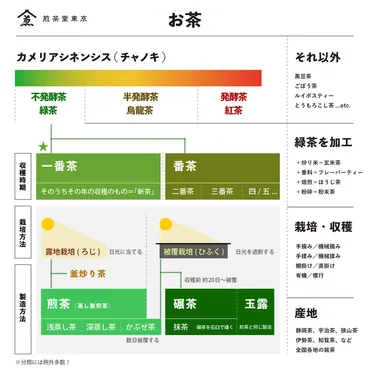 お茶の発酵とは？緑茶・紅茶・烏龍茶の違いをもたらす発酵の正体 – 煎茶堂東京オンライン