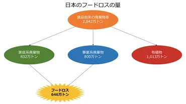 環境負荷、貧困、食料安全保障、様々な問題と絡むフードロス│The Social Issues