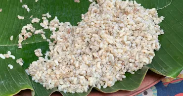 タイの赤アリの卵の旬カイモッデーンの話