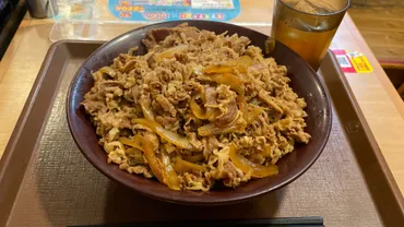 すき家の裏メニュー「キング牛丼」がデカ盛りだった（進撃のグルメ） 