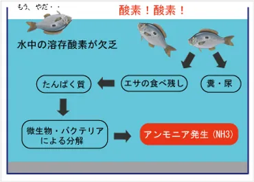 魚の臭み対策！美味しく食べるための秘訣とは？魚の臭みを消す！8つの方法と科学的アプローチ