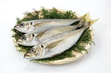 刺身やすし類なども注意!】身近な生魚や魚介類に潜む「腸炎ビブリオ食中毒」の予防法