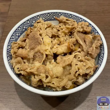 吉野家・松屋・すき家】牛丼チェーン社の「牛丼・並盛」を比較してみた(進撃のグルメ)