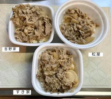 吉野家・松屋・すき家】牛丼チェーン社を比較してみた!味やコスパの違いは?