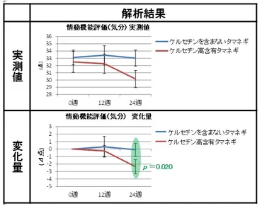 タマネギのケルセチンは認知機能維持に役立つ－ヒト介入試験で加齢に伴い低下する認知機能維持に役立つ機能 を報告－