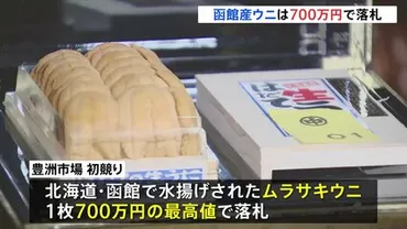 700万円のウニは高い？豊洲市場の初競り、食文化と価格への影響は？豊洲市場初競り、ウニ700万円の衝撃