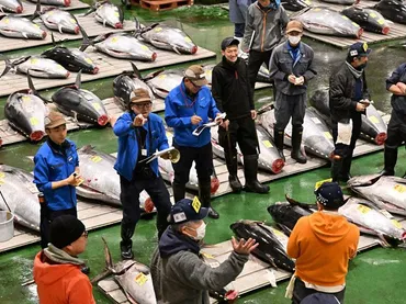 豊洲市場で初競り大間産マグロに2億円超:東京新聞デジタル