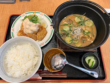 エバンジェリストが巡る冷や汁宮崎編-お食事の店蜜柑宮崎市