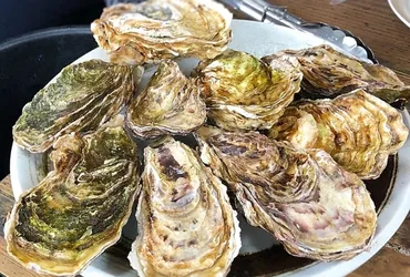 能登周辺でかき料理を味わうなら!おすすめの人気店選食べログまとめ
