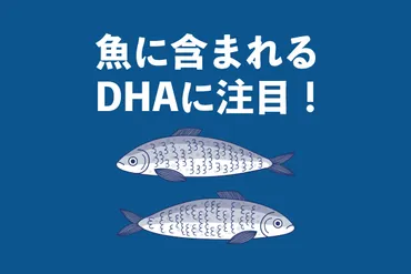 が多い魚ランキング:美味しい調理方法とレシピを紹介【管理栄養士執筆】