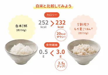▷がん予防・糖尿病予防・ダイエットにも「もち麦」の習慣を!【公式】もち麦レストラン