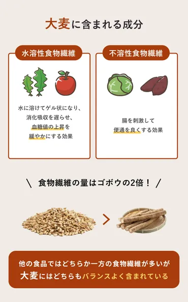 腸内環境や体質の改善に!水溶性食物繊維「β