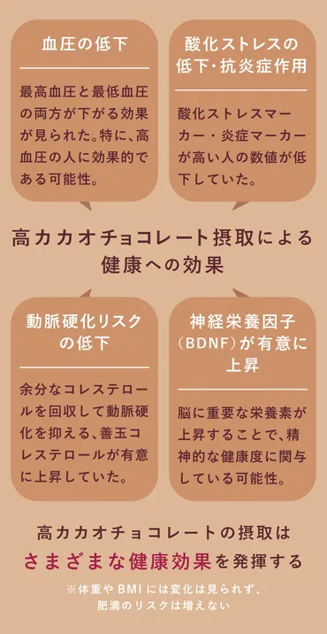 カカオポリフェノールによる抗酸化作用や精神的健康など、チョコレートの健康効果とは?【愛知学院大学・大澤特任教授】