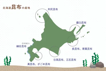 昆布の種類と産地が知りたい!特徴や味の違いとは