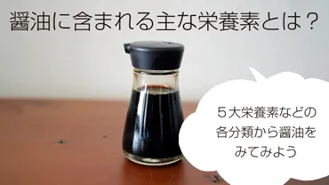 醤油に含まれる主な栄養素とは?5大栄養素などの各分類から醤油をみてみよう