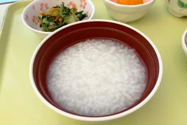 お粥の全て：歴史、栄養、効果、レシピを徹底解説！〜健康と美容を叶える、お粥の魅力とは？〜お粥の知られざる効能：健康と美容を支える、日本の食文化
