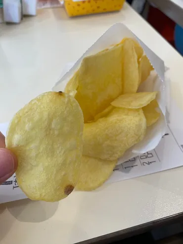 マクドナルドで「揚げたてポテトチップス」選べた!ドイツのポテト文化が話題「分厚くて歯応えがあった」(よろず~ニュース)