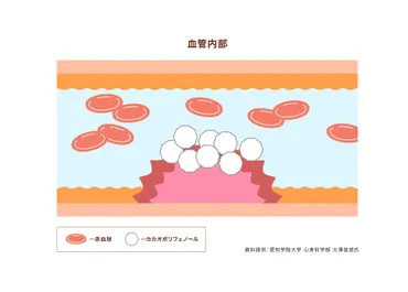 高カカオチョコレートは健康と美容の味方！効果や選び方を紹介