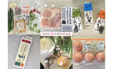 オイシックスと大地を守る会の違いを徹底比較!どっちが便利で安い?│レビュー