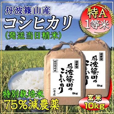 コシヒカリお米玄米×特別栽培米割農薬減兵庫県丹波篠山産特一等米送料無料令和年産産直通販・おいしいお米は京米堂