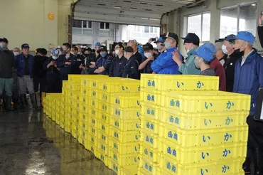 スルメイカ「庶民の味」は昔の話函館水揚げピーク時%弱のトン価格キロ円/北海道
